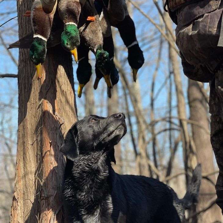 Season Dates Season Dates